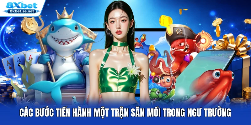 Các bước tiến hành một trận săn mồi trong ngư trường
