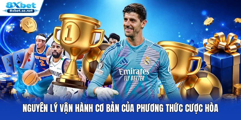 Nguyên lý vận hành cơ bản của phương thức cược hòa