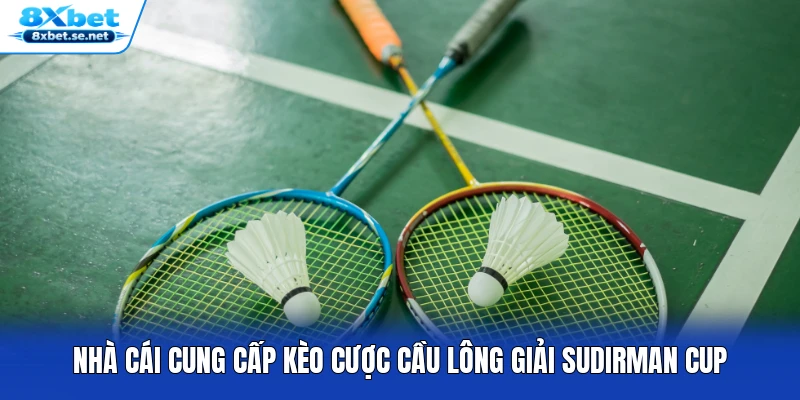Nhà cái cung cấp kèo cược cầu lông giải Sudirman Cup