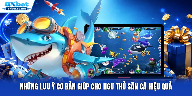 Những lưu ý cơ bản giúp cho ngư thủ săn cá hiệu quả